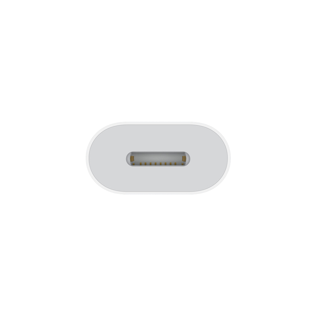 Apple Lightning Adaptador USB-C