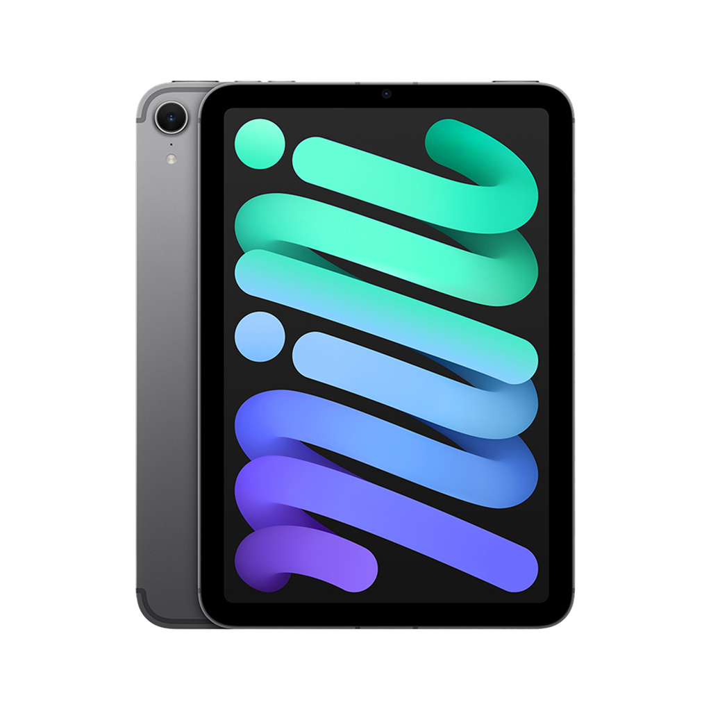 iPad mini Wi-Fi + Cellular 256GB - Space Grey