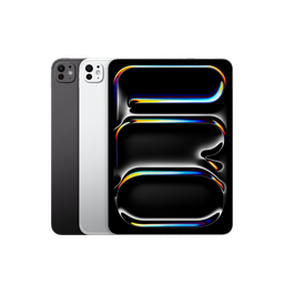 iPad Pro 11" (M4) Wi-Fi + Cellular