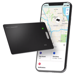 [KS500-BLK] KeySmart SmartCard - Negro